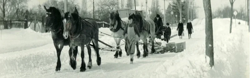 Junghanns Spedition 1953